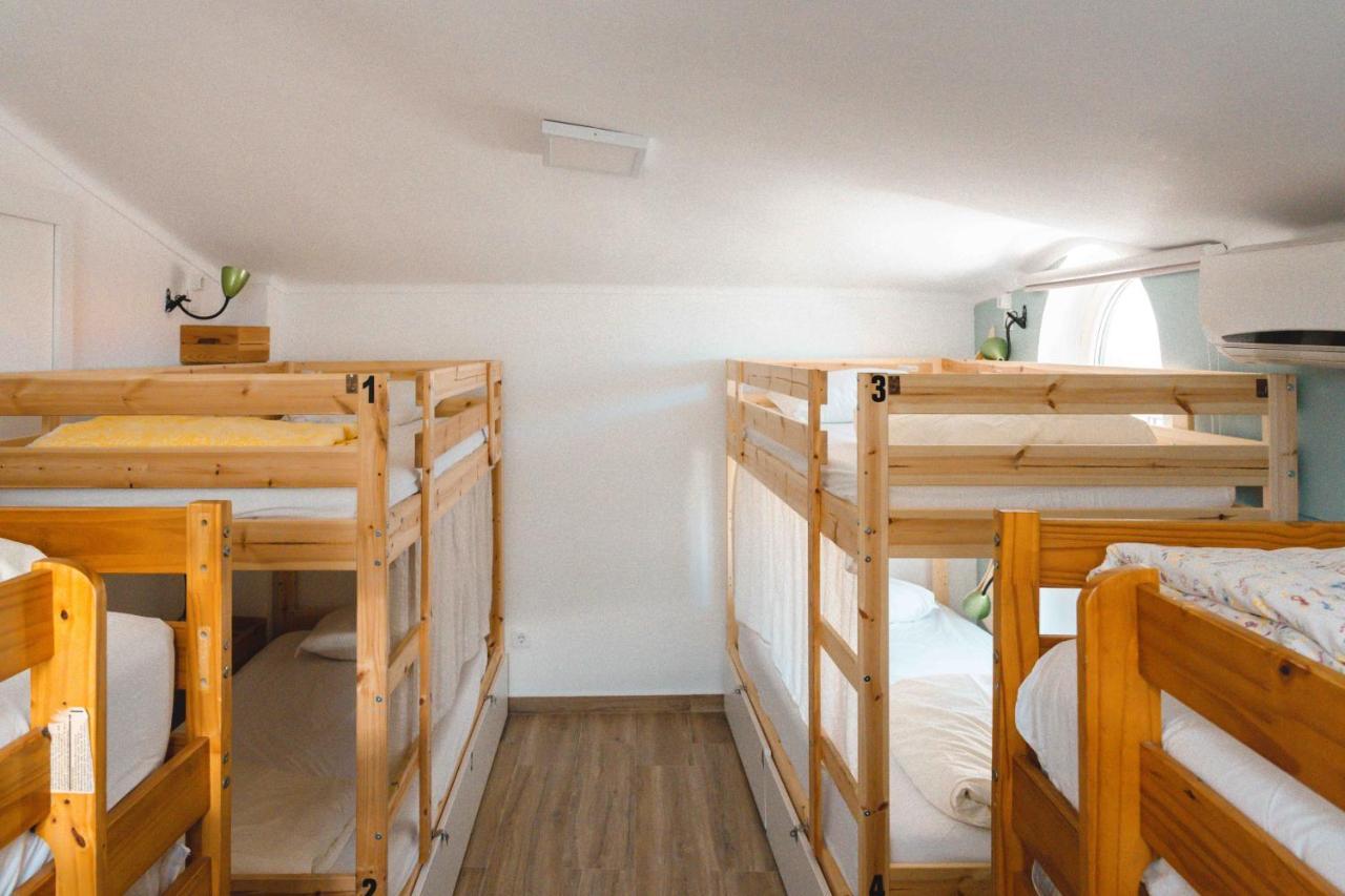 Bunk Bed Mixed Dormitory Room