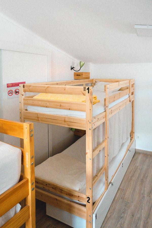 Bunk Bed Mixed Dormitory Room