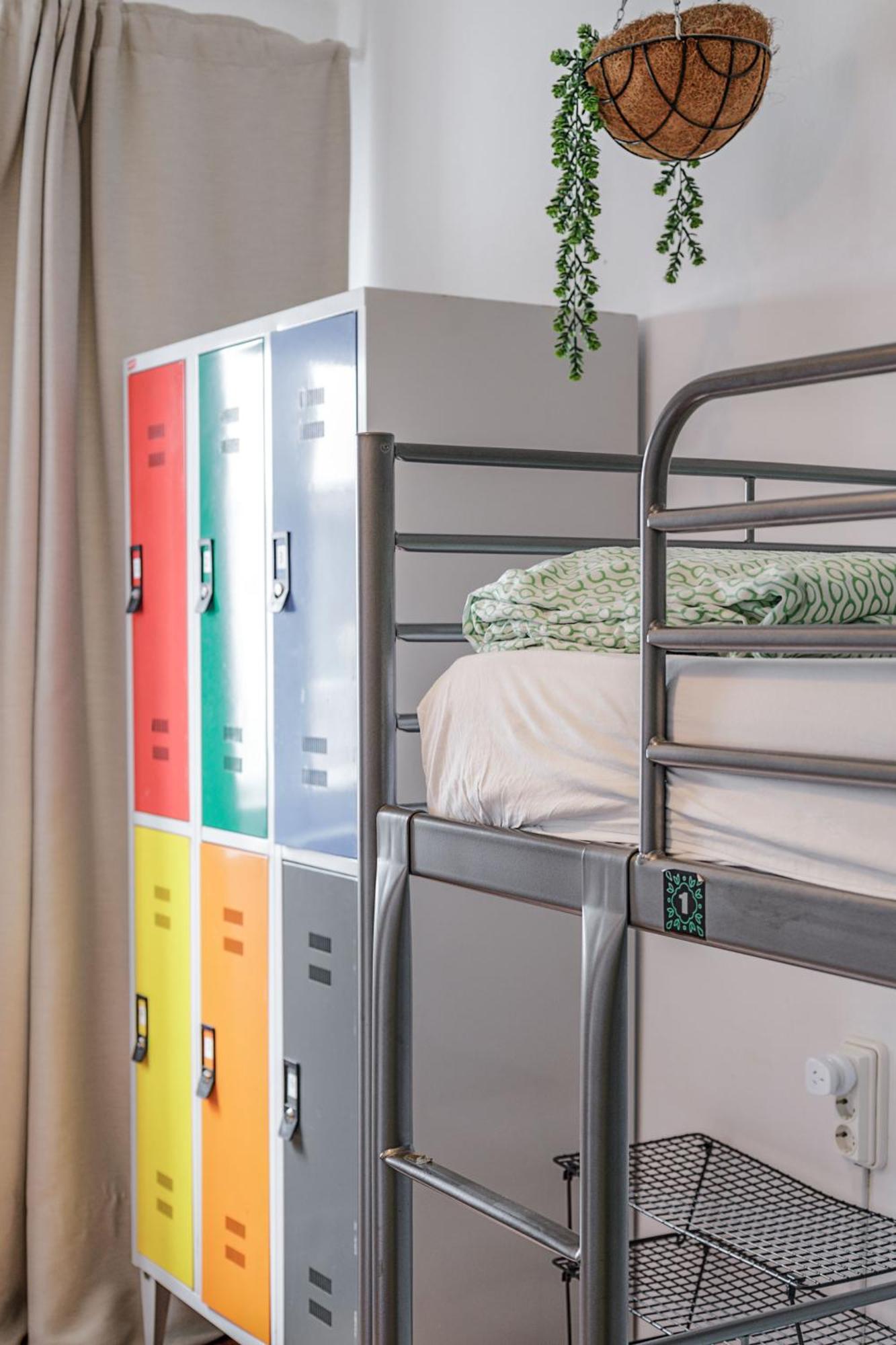 Single Bed Female Dormitory Room