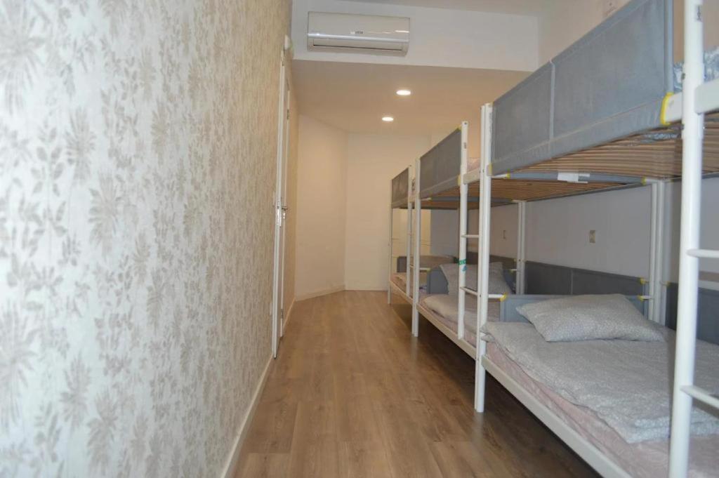 4-Bed Mixed Dormitory Room