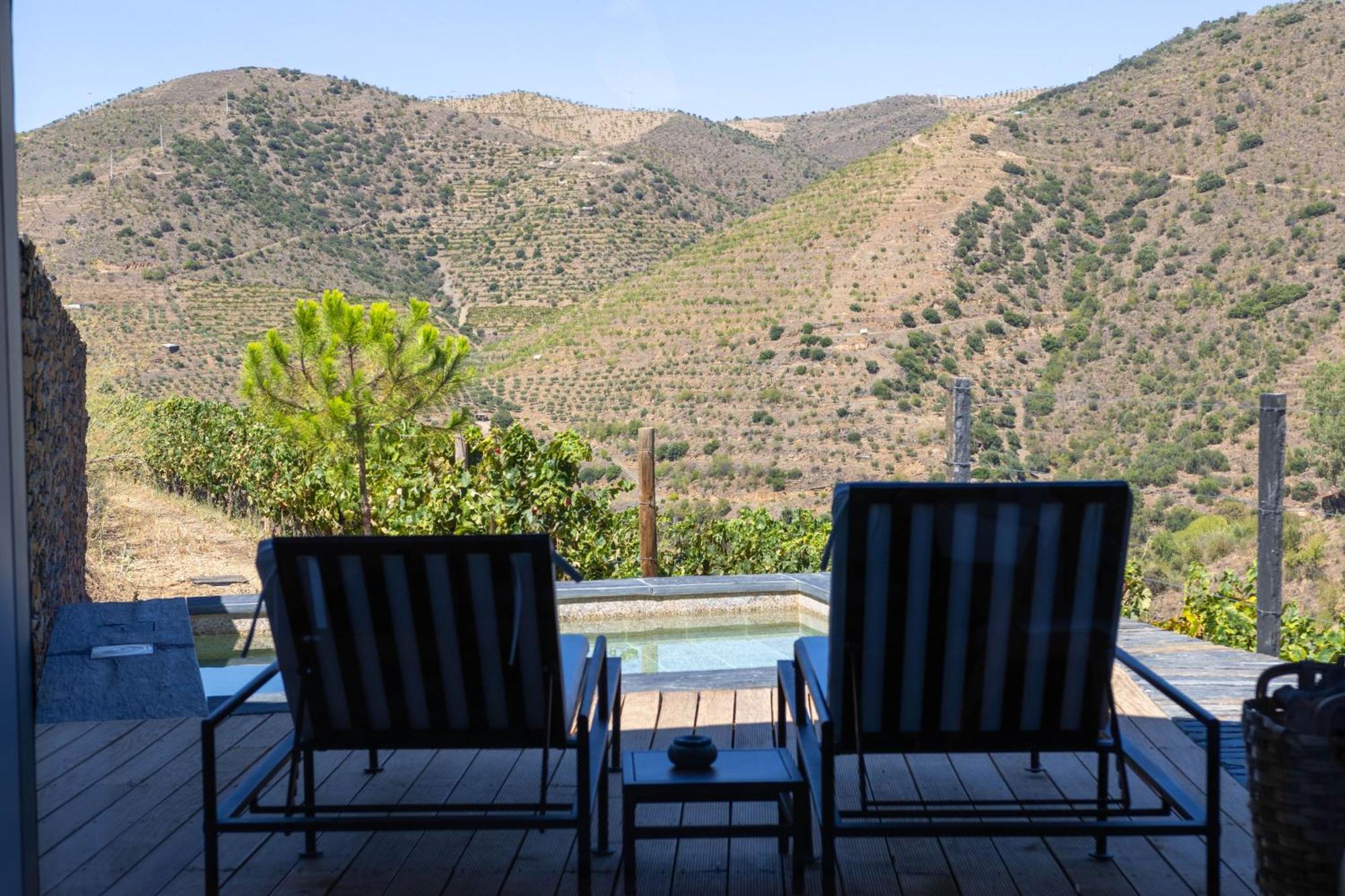 Suite Terrace
