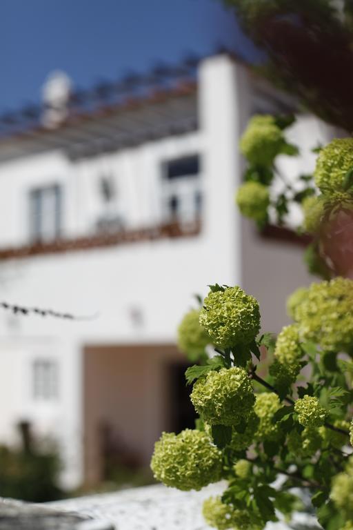 Apartamento com Vista Jardim