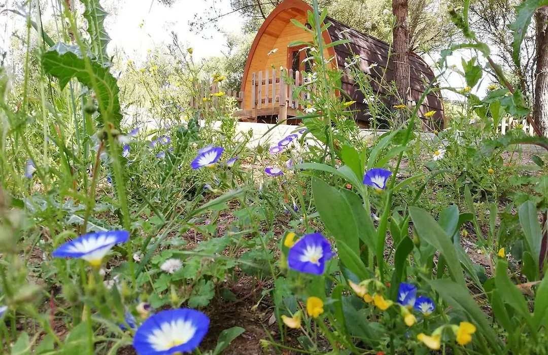 Glamping Sintra-1
