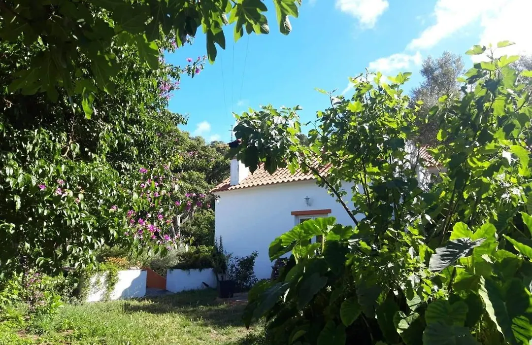 Quinta Algarve Das Relvinhas-1