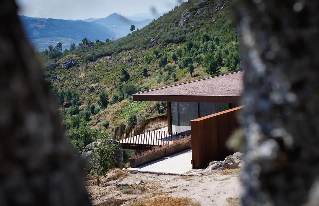 Bonelli House-1