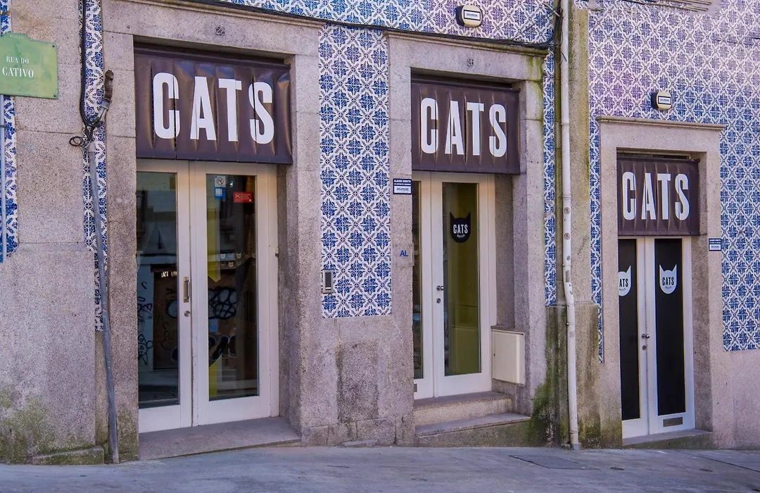 Cats Porto Hostel-1