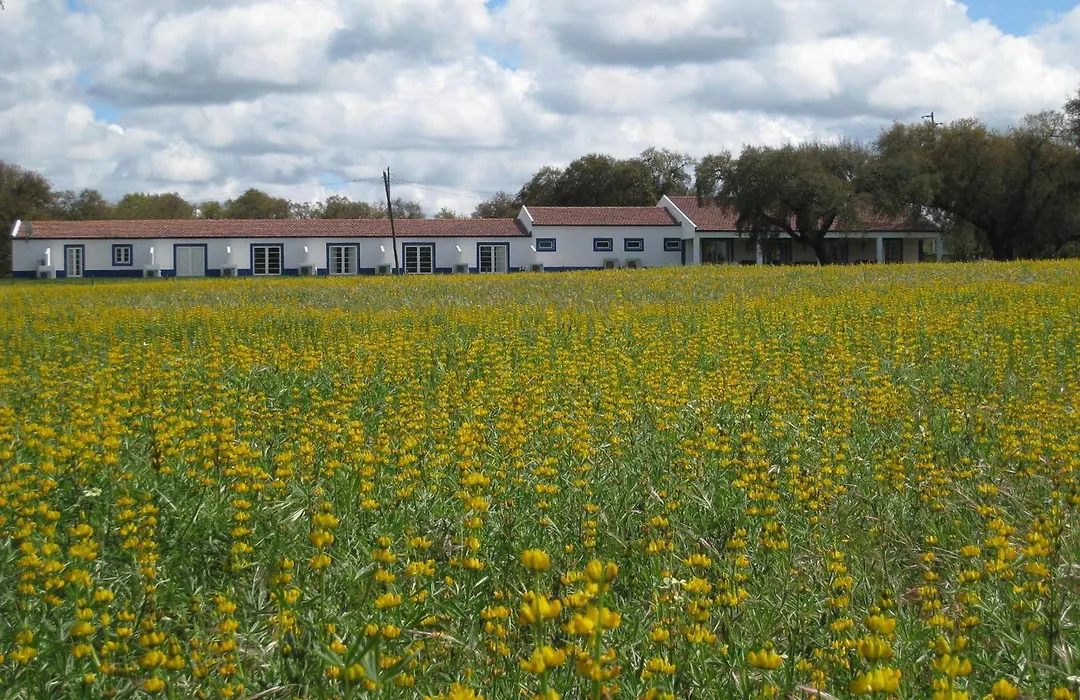 Monte das Faias Cork Farm Hotel-1