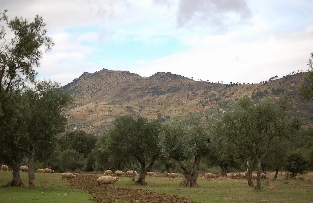 Agro-Turismo - Quinta Do Pinheiro-1
