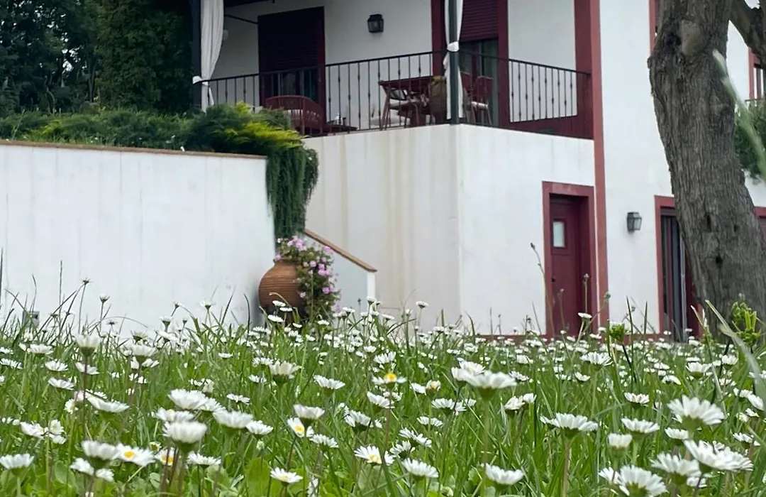 Quinta Da Asneira-1