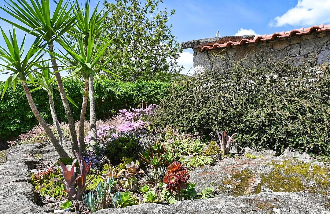 Casas Das Olas-1