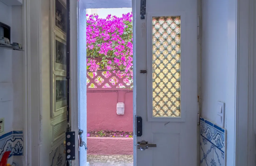 Vila Olivença-1