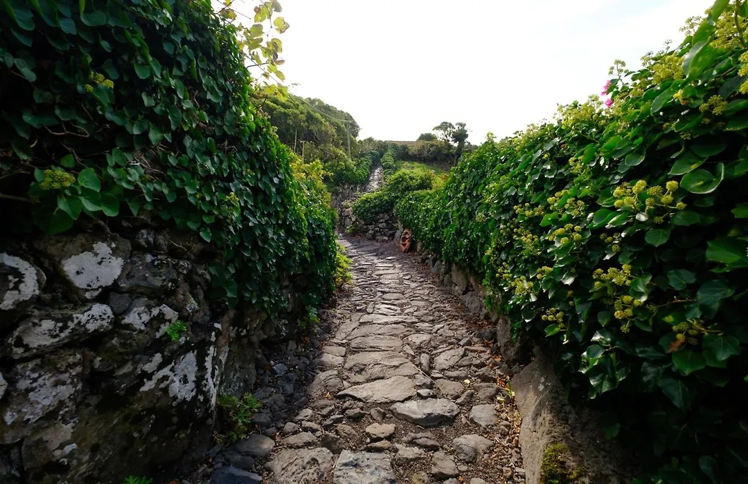 Aldeia Da Cuada-1