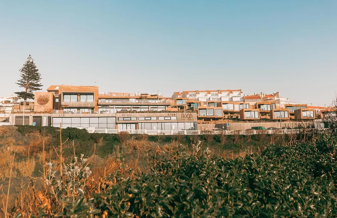Noah Surf House Portugal-1