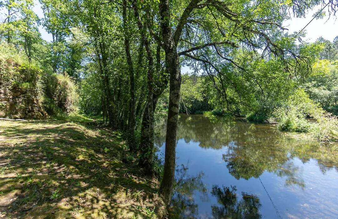 Quinta da Rabaçosa - Turismo Rural-1
