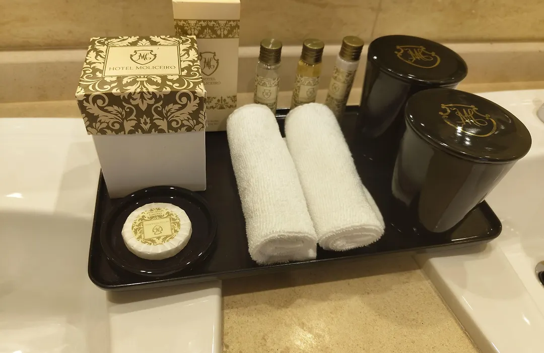 Hotel Moliceiro-1