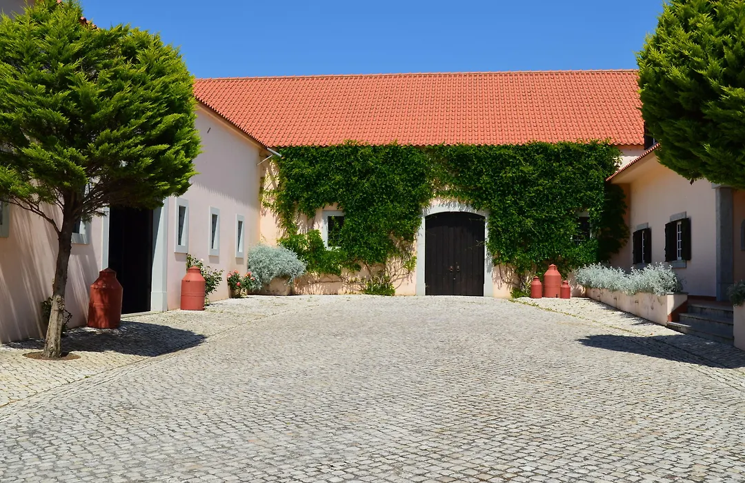 Quinta Do Covanco-1