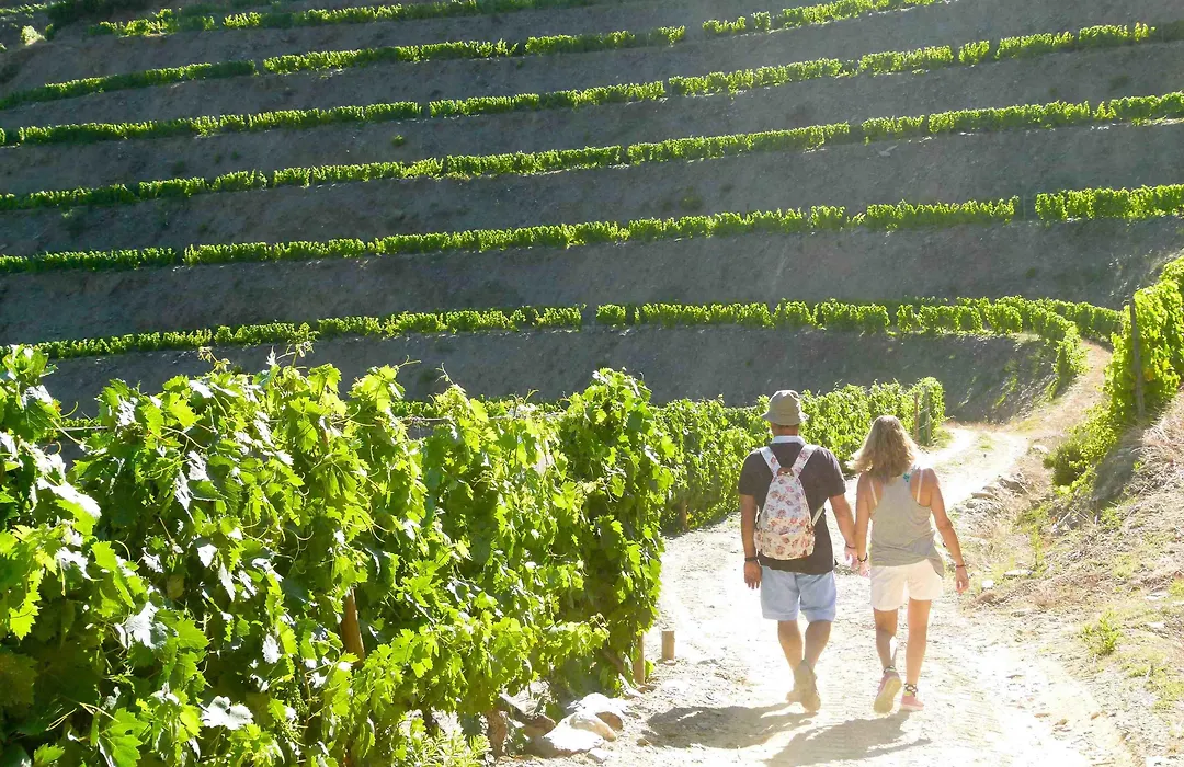 Quinta De La Rosa-1