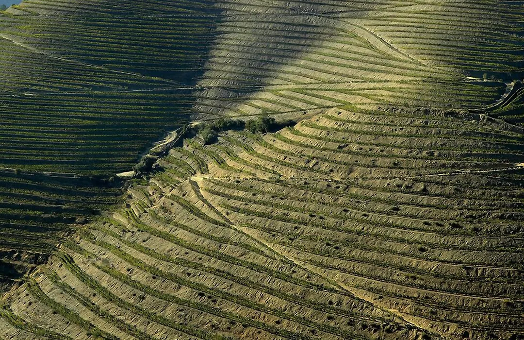 Quinta De La Rosa-1