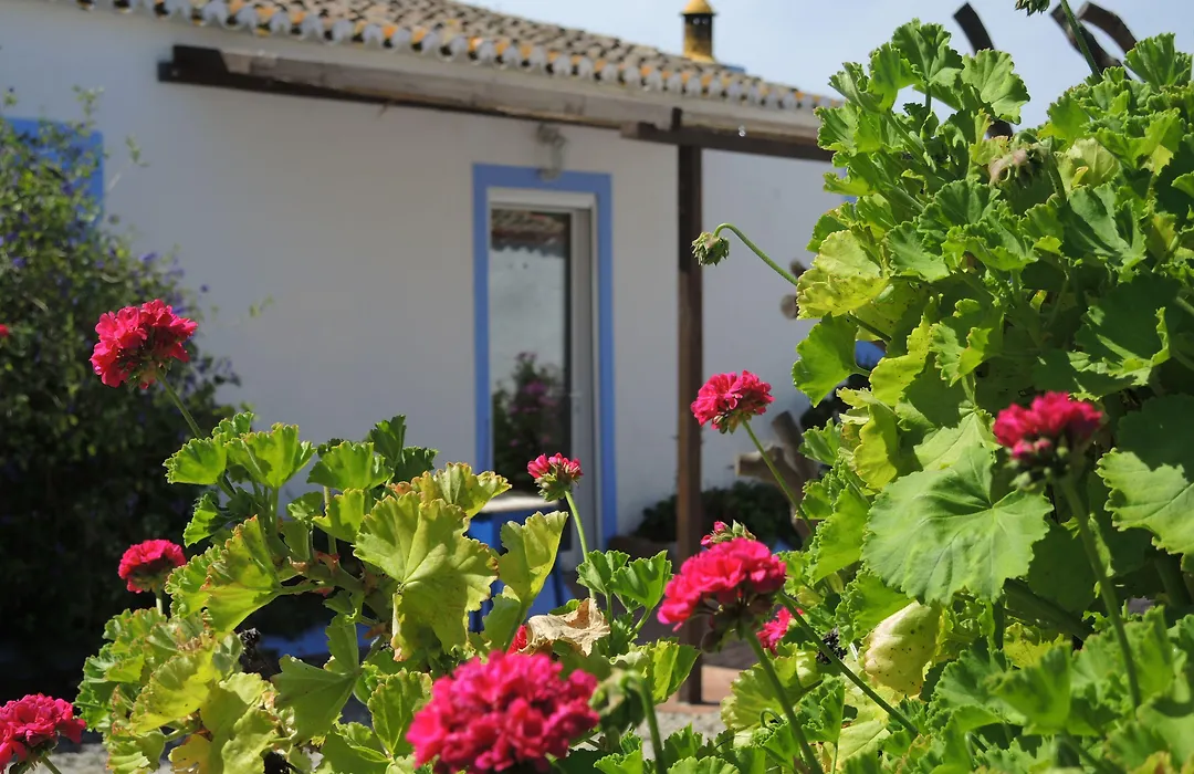 Quinta Da Fornalha - Santuario Agroecologico-1