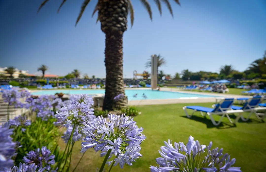 Hotel Solverde Spa And Wellness Center-1