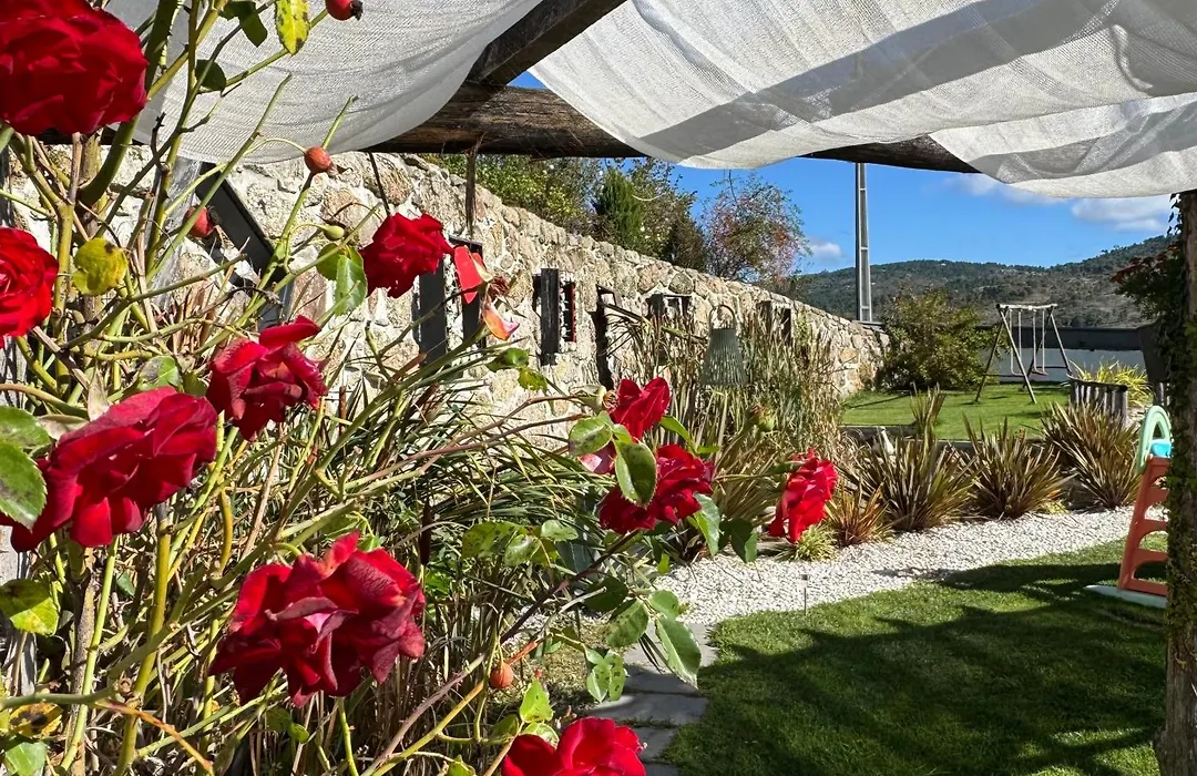 Alqueiturismo - Casas De Campo-1
