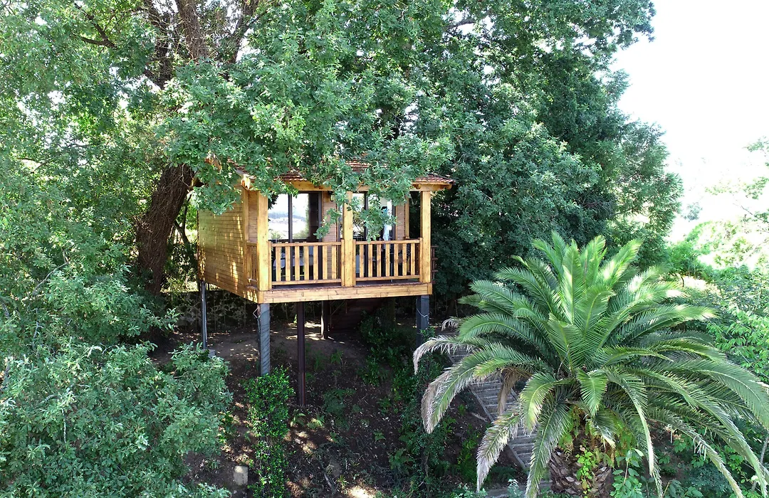 Quinta Do Padrao-1