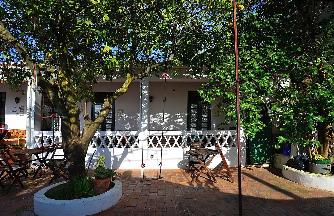Casa De Serpa - Turismo Rural-1