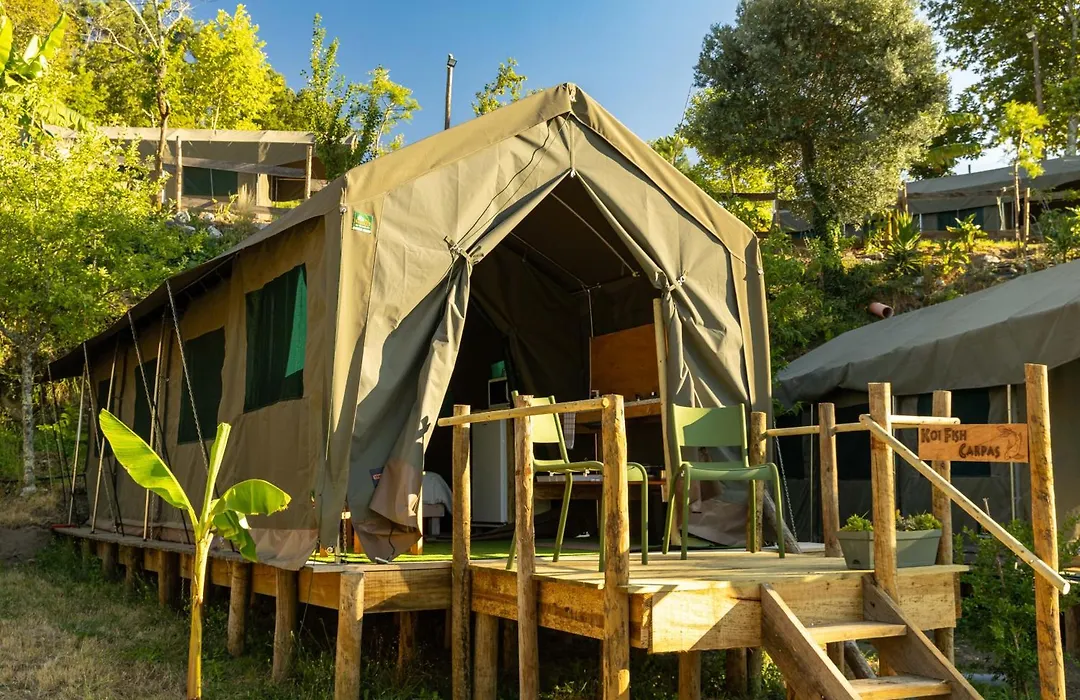 Safari Glamping Portugal Shark-1