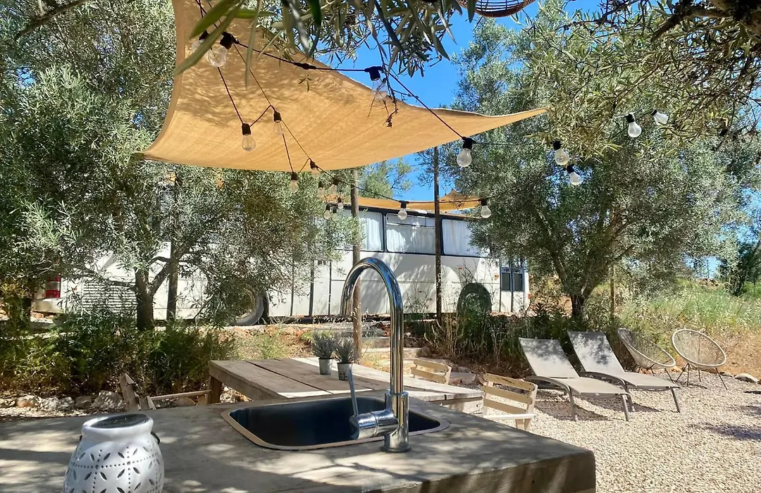 Glamping Algarve Olive Tree Lodge-1
