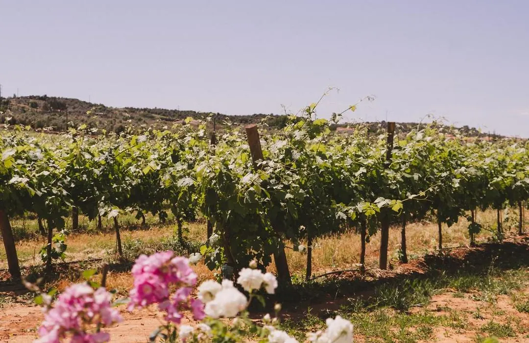 Quinta Do Barreiro-1