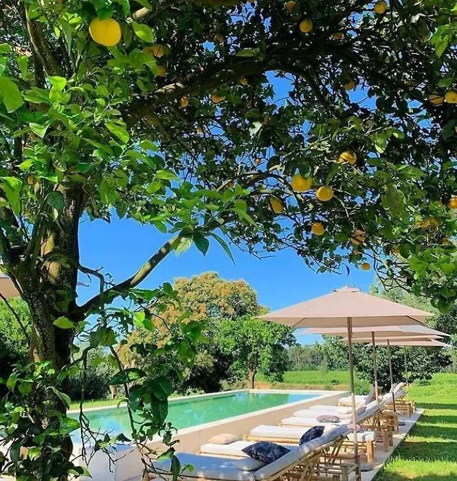 Terra Rosa Country House & Vineyards-1