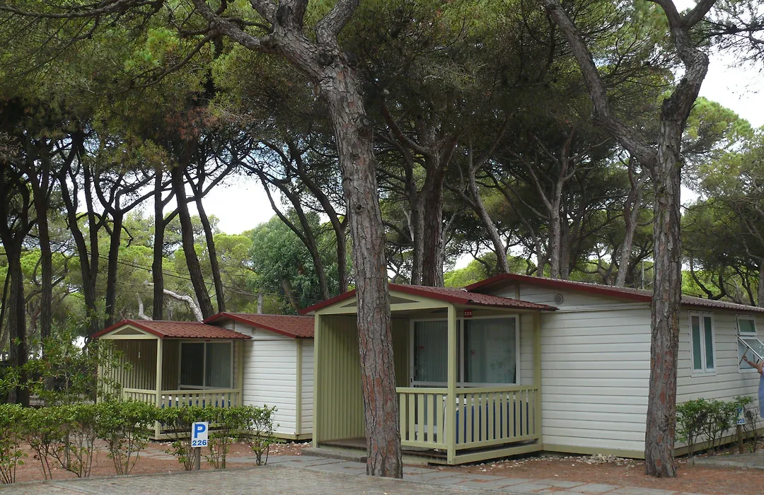 Parque de Campismo Orbitur Costa de Caparica-1