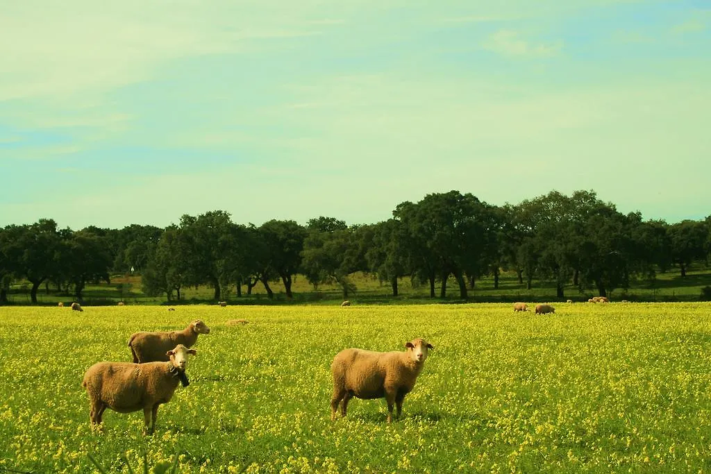 Herdade Da Serrinha Agroturismo-1