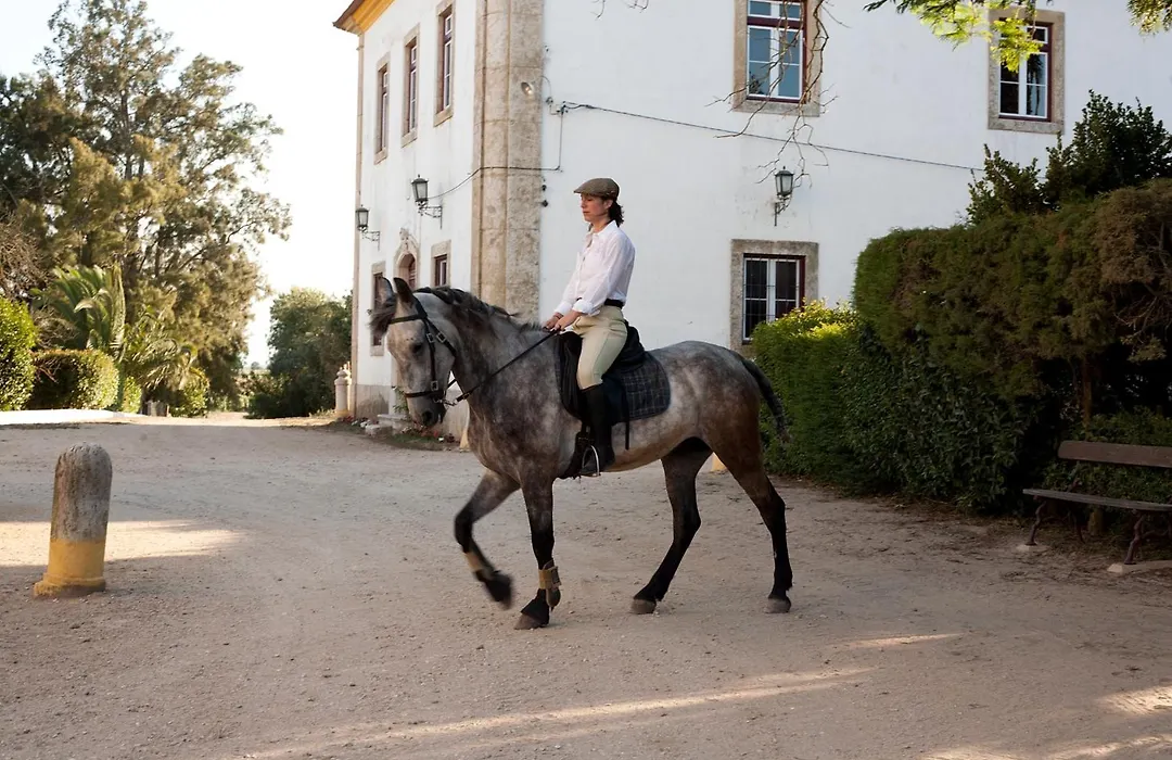 Quinta dos Álamos Agroturismo-1