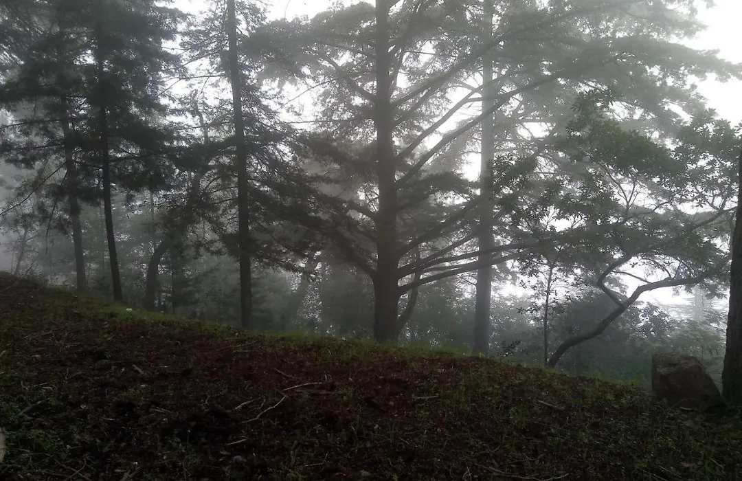 Quinta Das Aveleiras-1