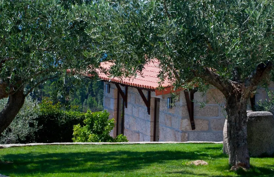 Quinta Do Olival-1