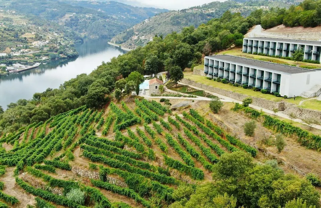 Douro Palace Hotel Resort & Spa-1