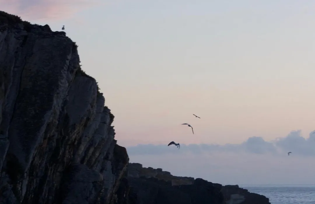 Refugio Do Almograve-1