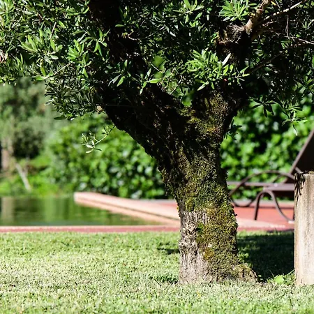 Vale Do Ninho Nature Houses-2