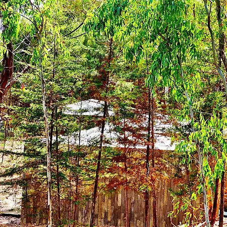 Herdade Clube Tiro Monfortinho-2
