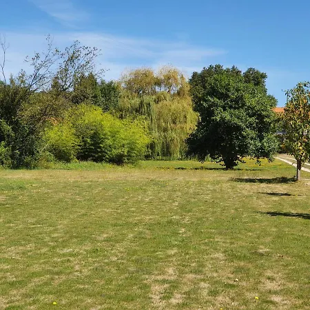 Quinta Rio De Oliveira-2