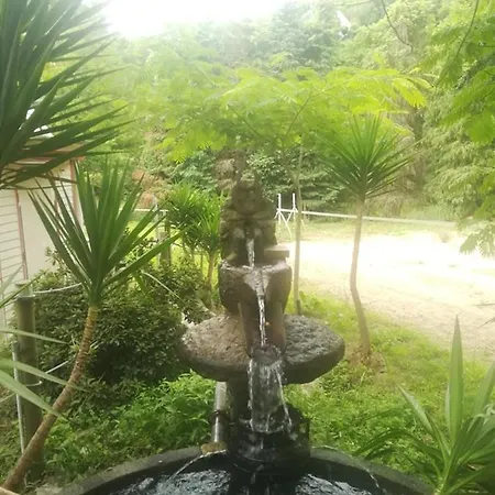 Quinta Do Fijo-2
