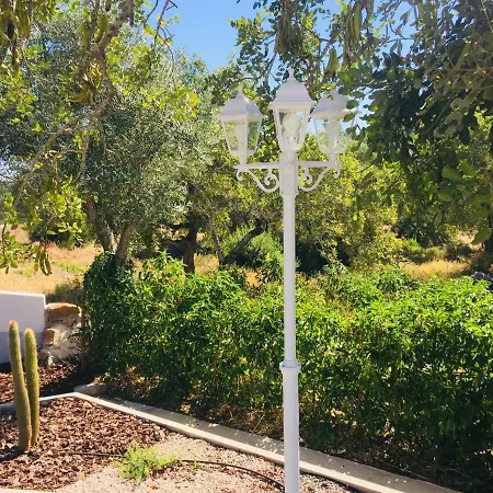 Quinta Dos Netos-2