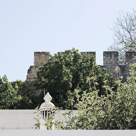 A Muralha-3