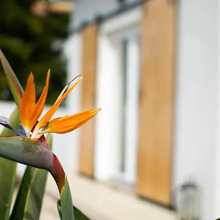 Casa-Simplicity Gelder Zetten Lda-3