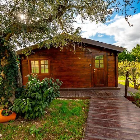 Quinta Do Quinto-3