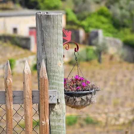Quinta Dos Padrinhos - Suites In The Heart Of The Douro-3