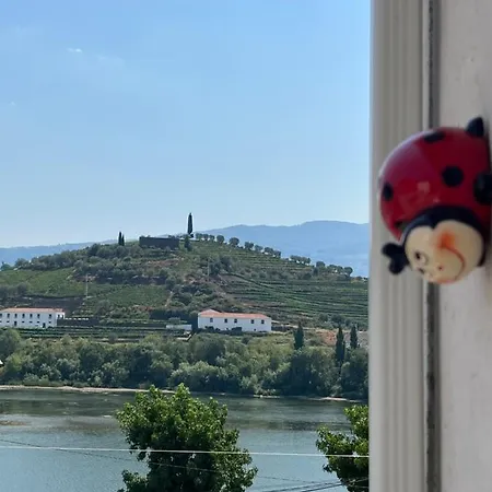 Alojamento Joaninha Douro 2-3
