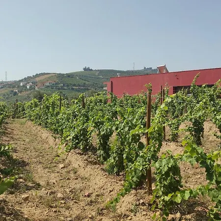 Quinta Dos Padrinhos - Suites In The Heart Of The Douro-2