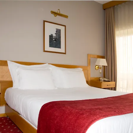 Hotel Rainha D. Amelia, Arts & Leisure-3